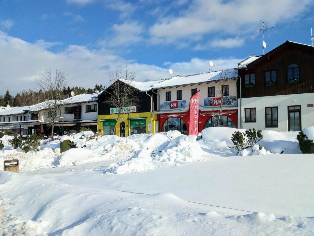 Apartman U Lipna, Pro Cyklisty, Motorkare Фримбурк Экстерьер фото