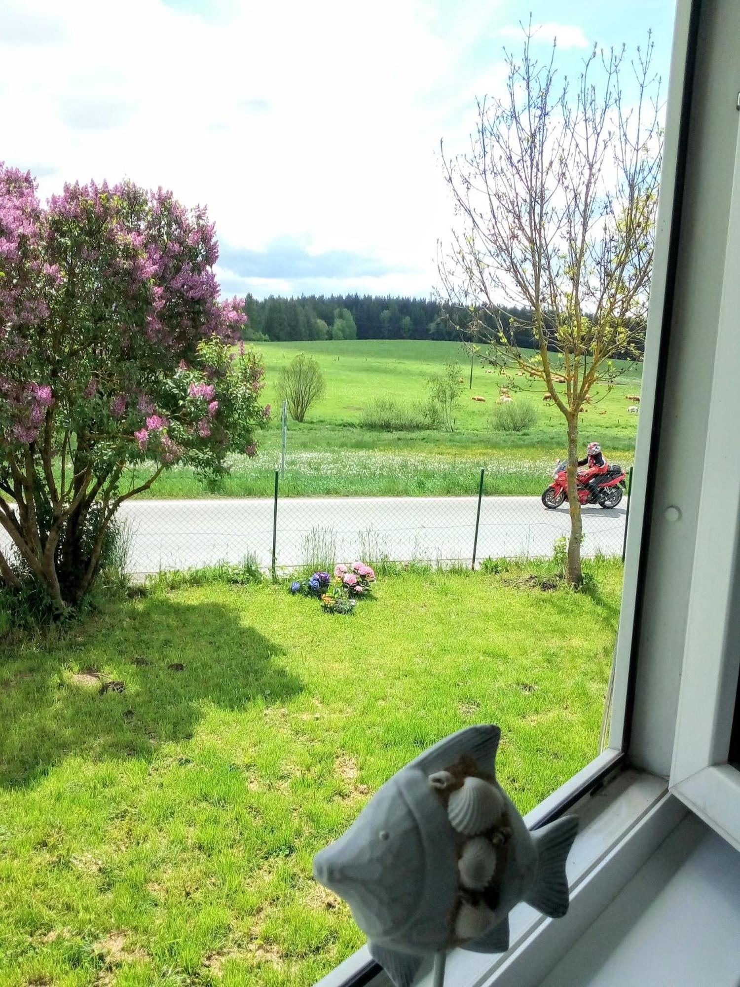Apartman U Lipna, Pro Cyklisty, Motorkare Фримбурк Экстерьер фото
